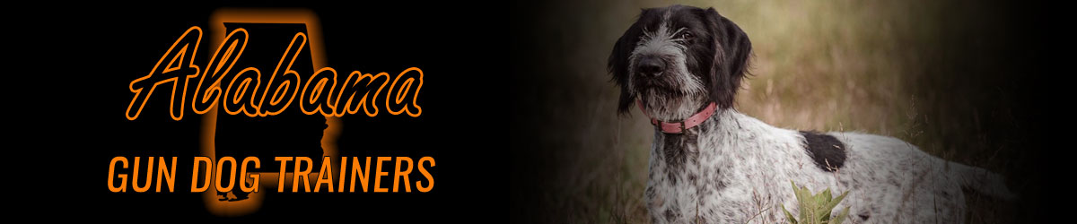 Alabama Gun Dog Trainers Banner