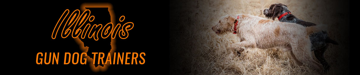 Illinois Gun Dog Trainers banner