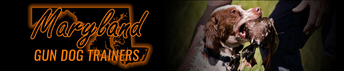 Maryland Gun Dog Trainers banner