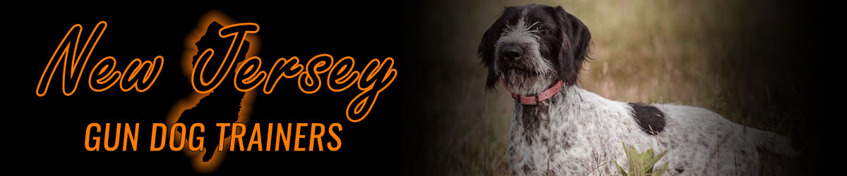 New Jersey Gun Dog Trainers banner