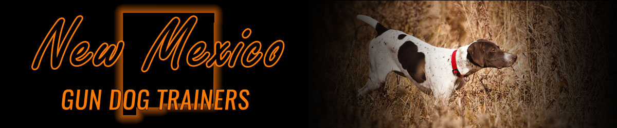 New Mexico Gun Dog Trainers banner