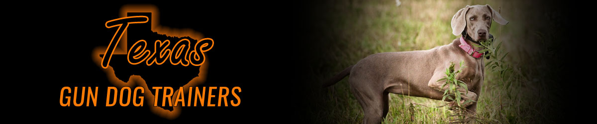 Texas Gun Dog Trainers banner